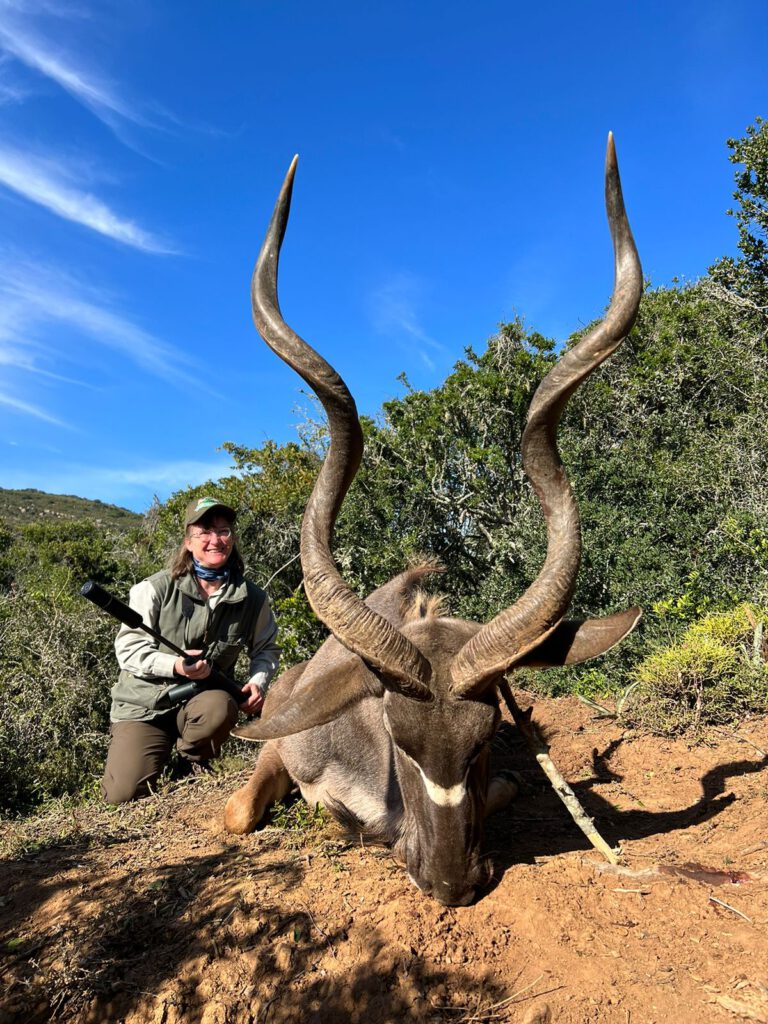 Eastern Cape Kudu