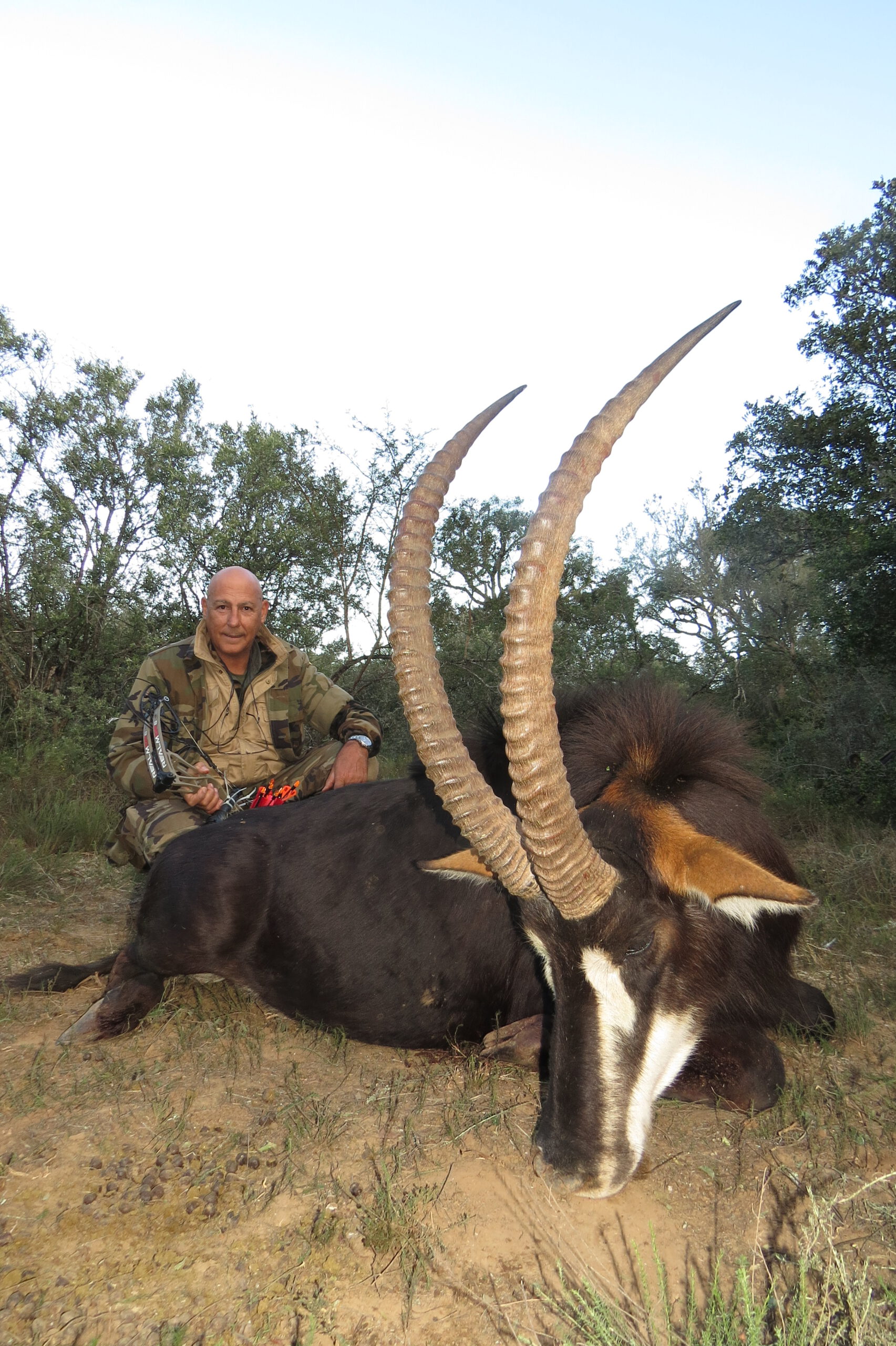 Bow hunt on Sable, July 2024